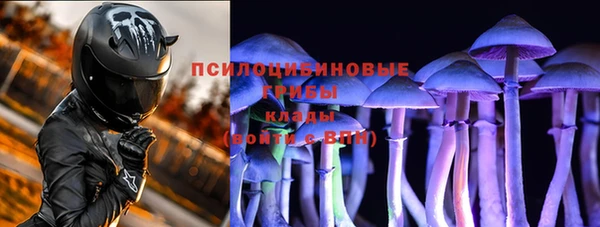 шишки Баксан