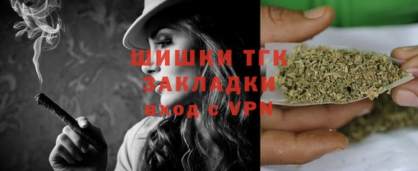 шишки Баксан