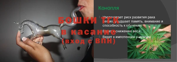 шишки Баксан