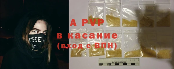 шишки Баксан