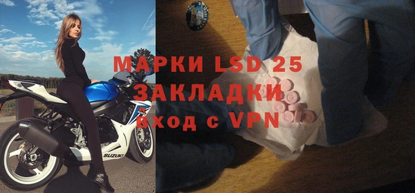 шишки Баксан