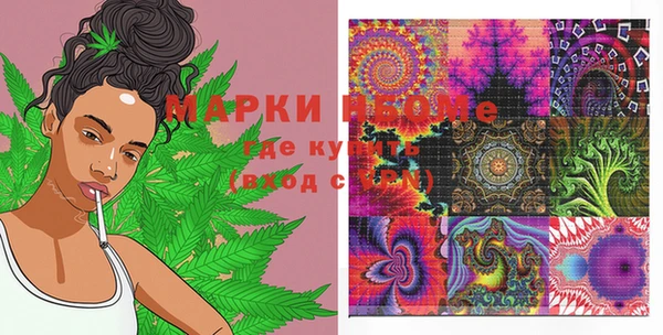 шишки Баксан