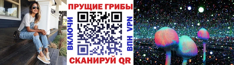 Псилоцибиновые грибы прущие грибы  сколько стоит  Белоозёрский 