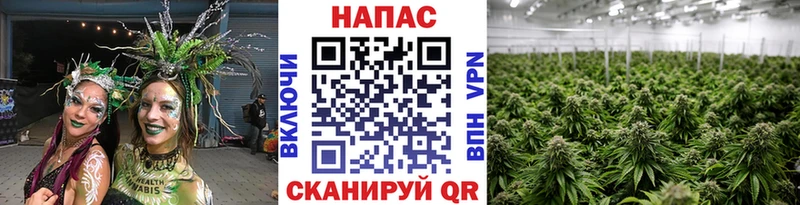 Бошки марихуана тримм  кракен вход  Белоозёрский 
